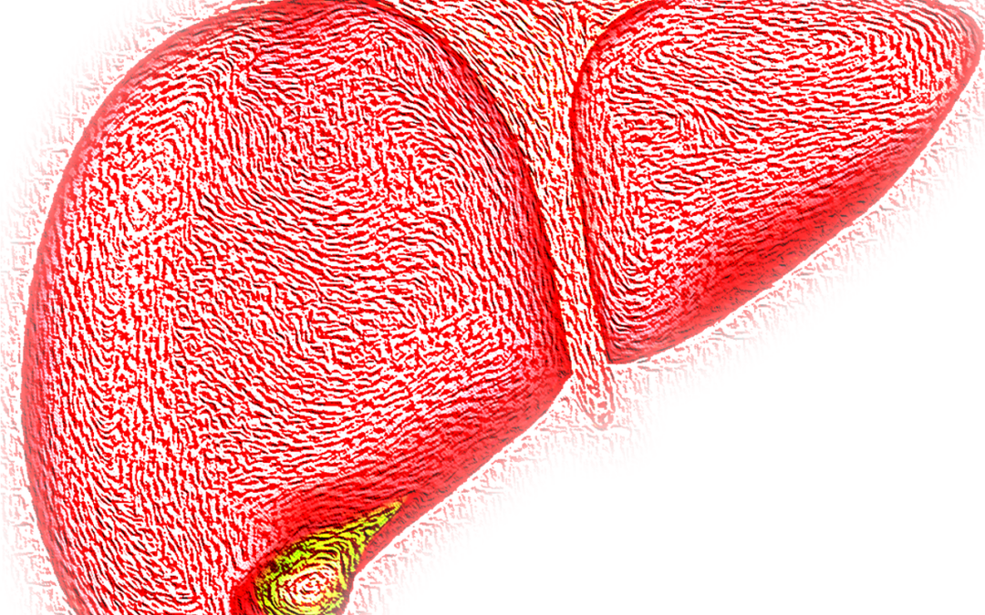 Su Clinical Cancer Research uno studio italiano sul fegato