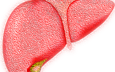 Su Clinical Cancer Research uno studio italiano sul fegato