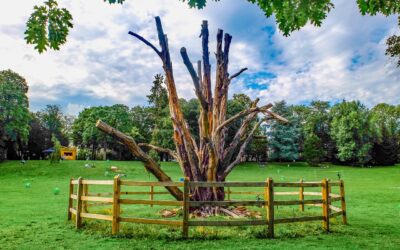 In Italia gli Stati Generali sulle Aree Protette