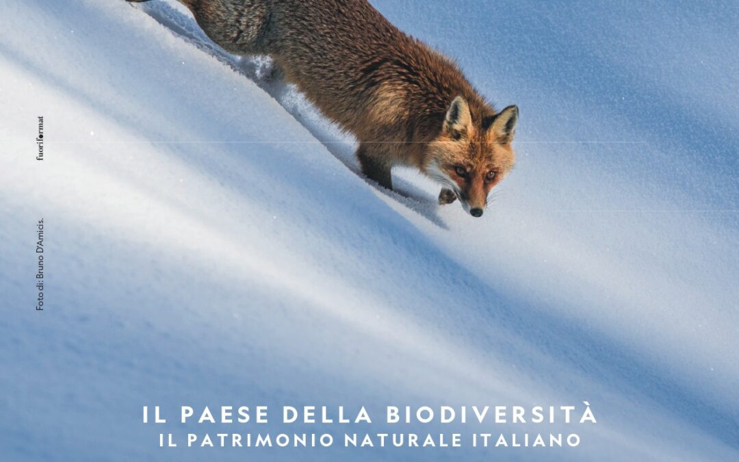 Dal 20 gennaio al 30 aprile a Roma Il paese della biodiversità