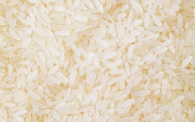 Il futuro del riso italiano è digitale