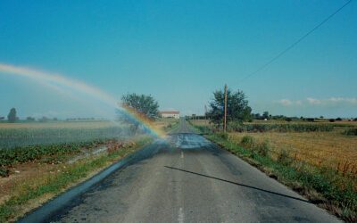 Viaggio in Italia in mostra a Istanbul